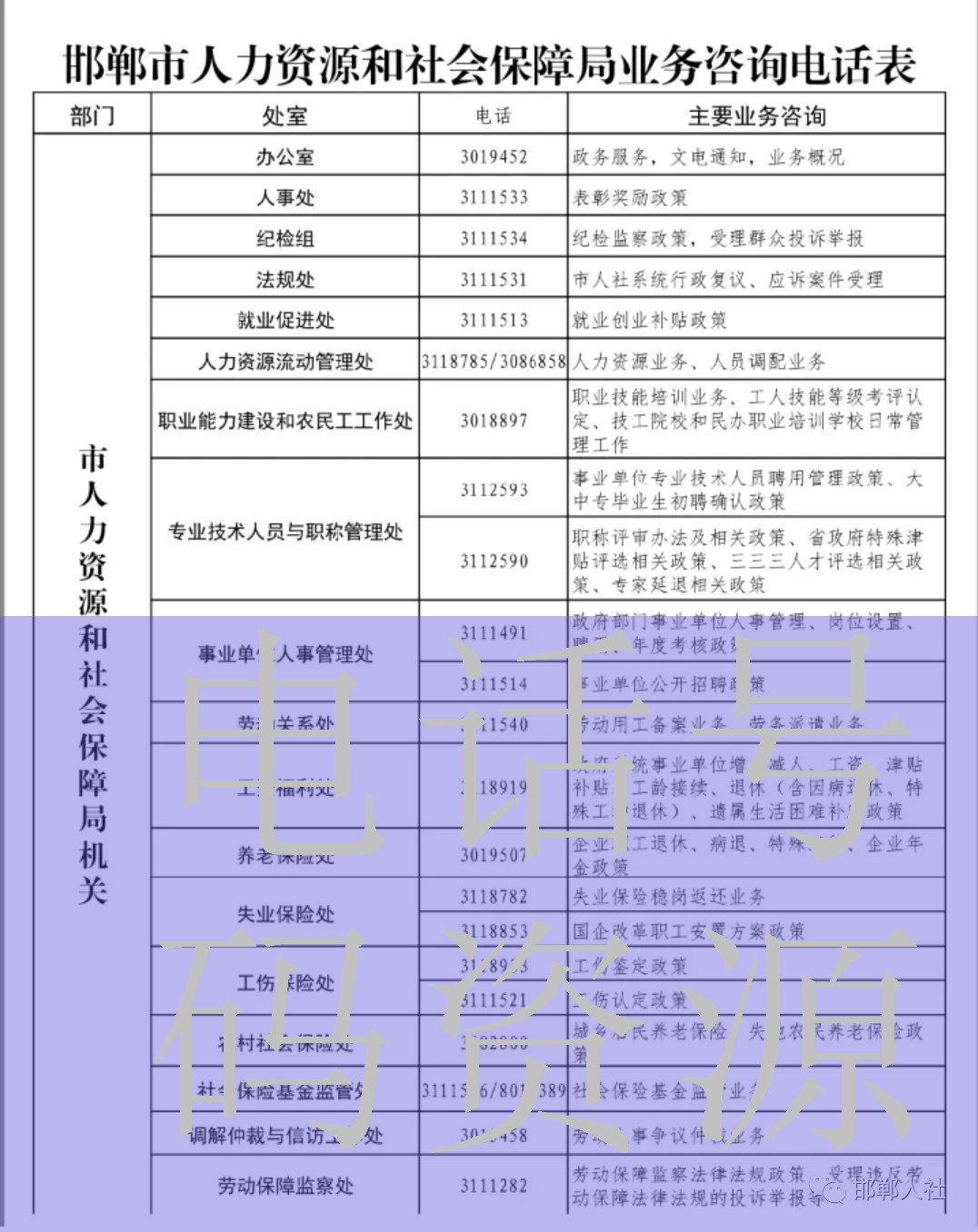 嗦粉市场调研分析与讨论手机在线免费播放图片