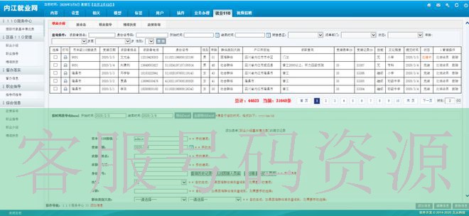 高清4K在线观看