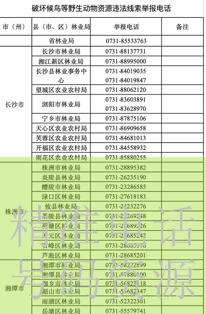 mp3信息资源管理方法剧情介绍图片