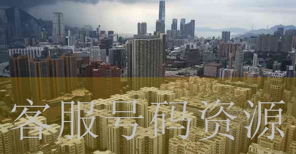 沙坪坝成人英语培训手机在线免费播放图片