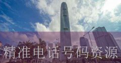 《中国信息资源管理的标准》剧情