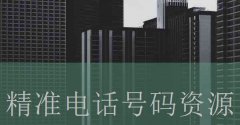 运输市场调研与分析报告_剧情介