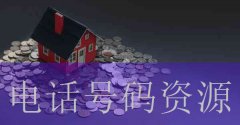 《碧桂园信息资源管理》剧情介绍